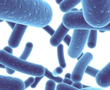 Пять эффективных пробиотиков, которые помогут вам справиться с диареей, связанной с приемом антибиотиков
