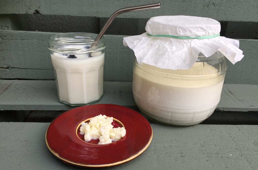Сделайте свой собственный молочный кефир в комфортных условиях вашего дома