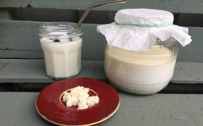 Сделайте свой собственный молочный кефир в комфортных условиях вашего дома