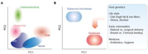 oral microbiota